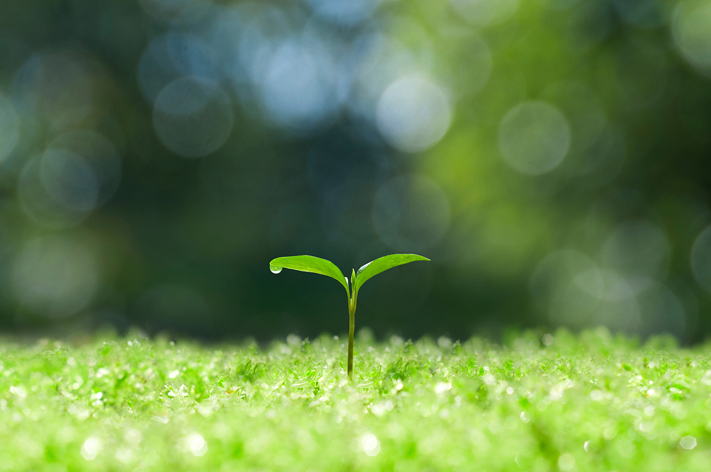 スタートアップ・起業支援